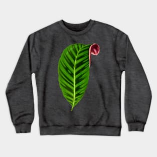 Calathea Zebrina - Rothschild Crewneck Sweatshirt